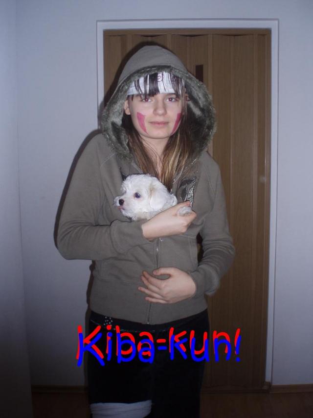 kiba